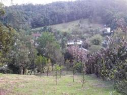 Venda em OURO FINO PAULISTA - Ribeirão Pires